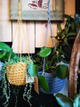 Picture of Crochet Plant Basket Workshop